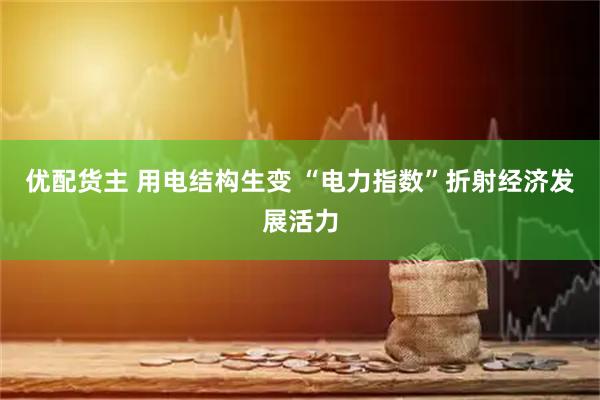 优配货主 用电结构生变 “电力指数”折射经济发展活力