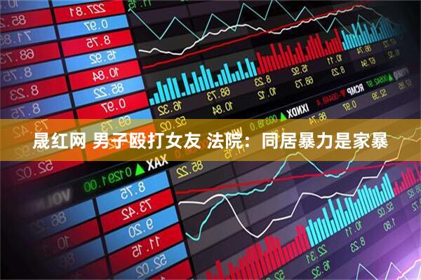 晟红网 男子殴打女友 法院：同居暴力是家暴